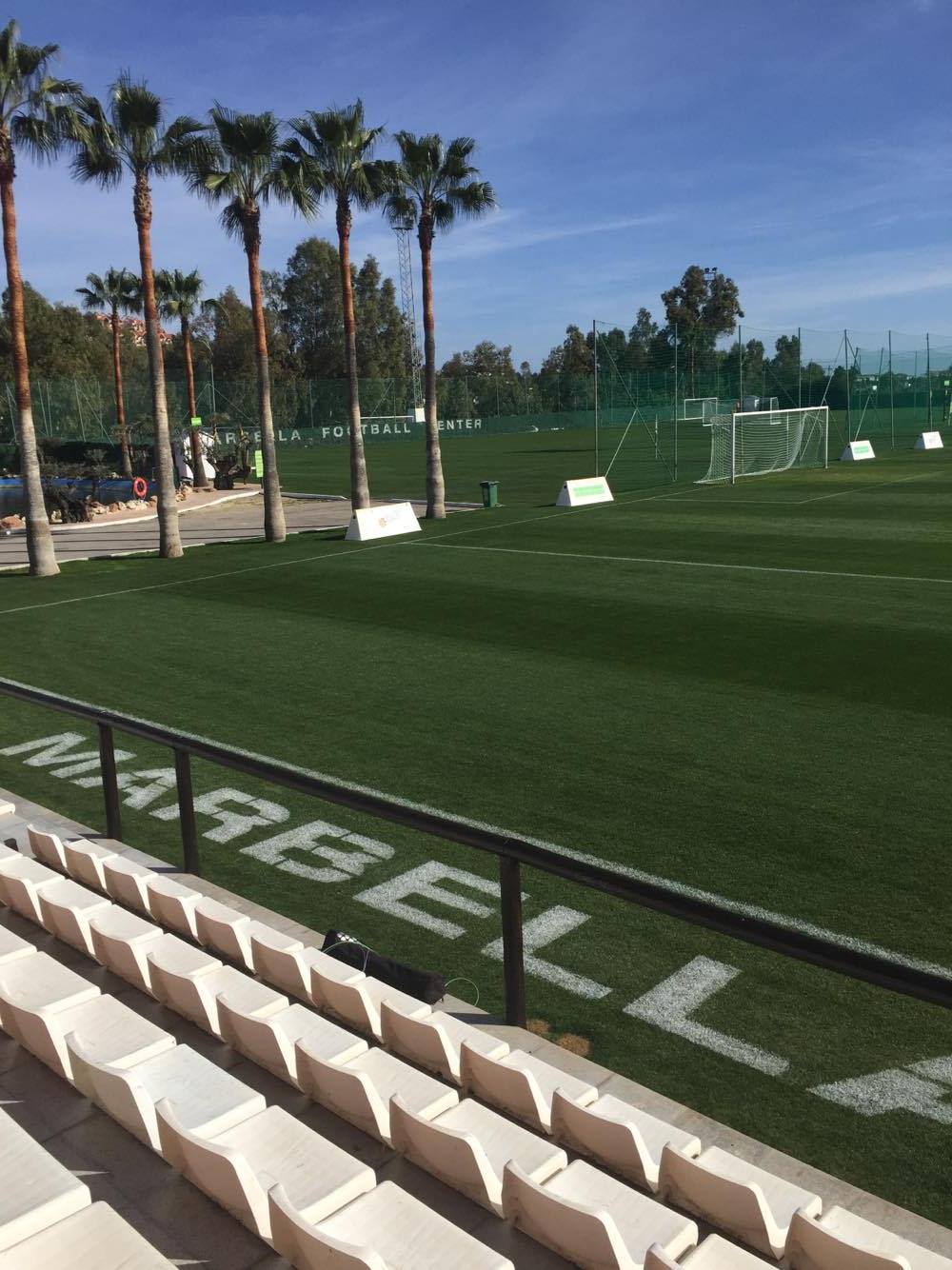 12722187 10156502267370137 435300828 O