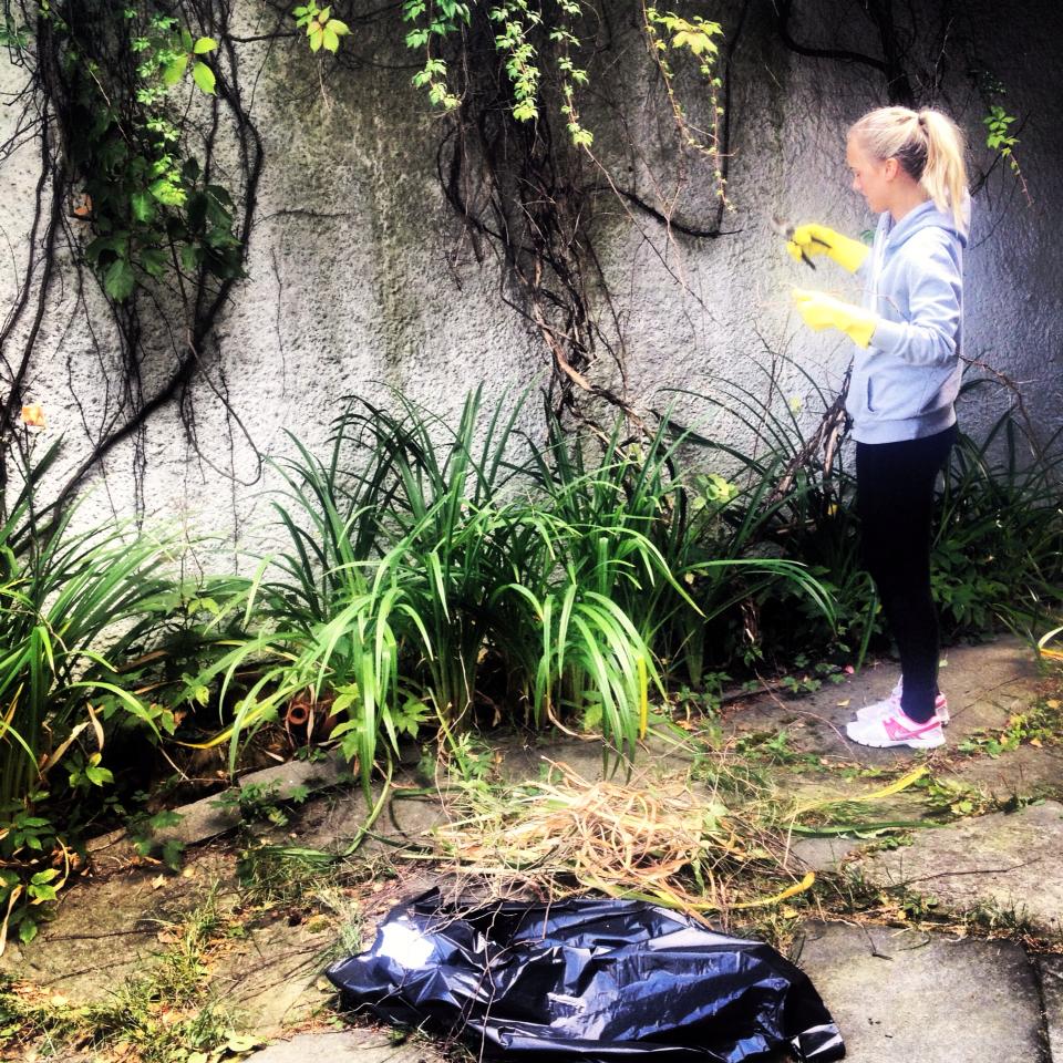 Hjelpemiddelsentralen