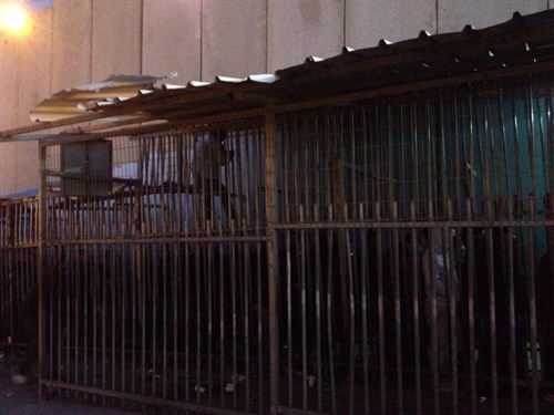 Sikkerhets Mur Morgen 2 Anne Lunde