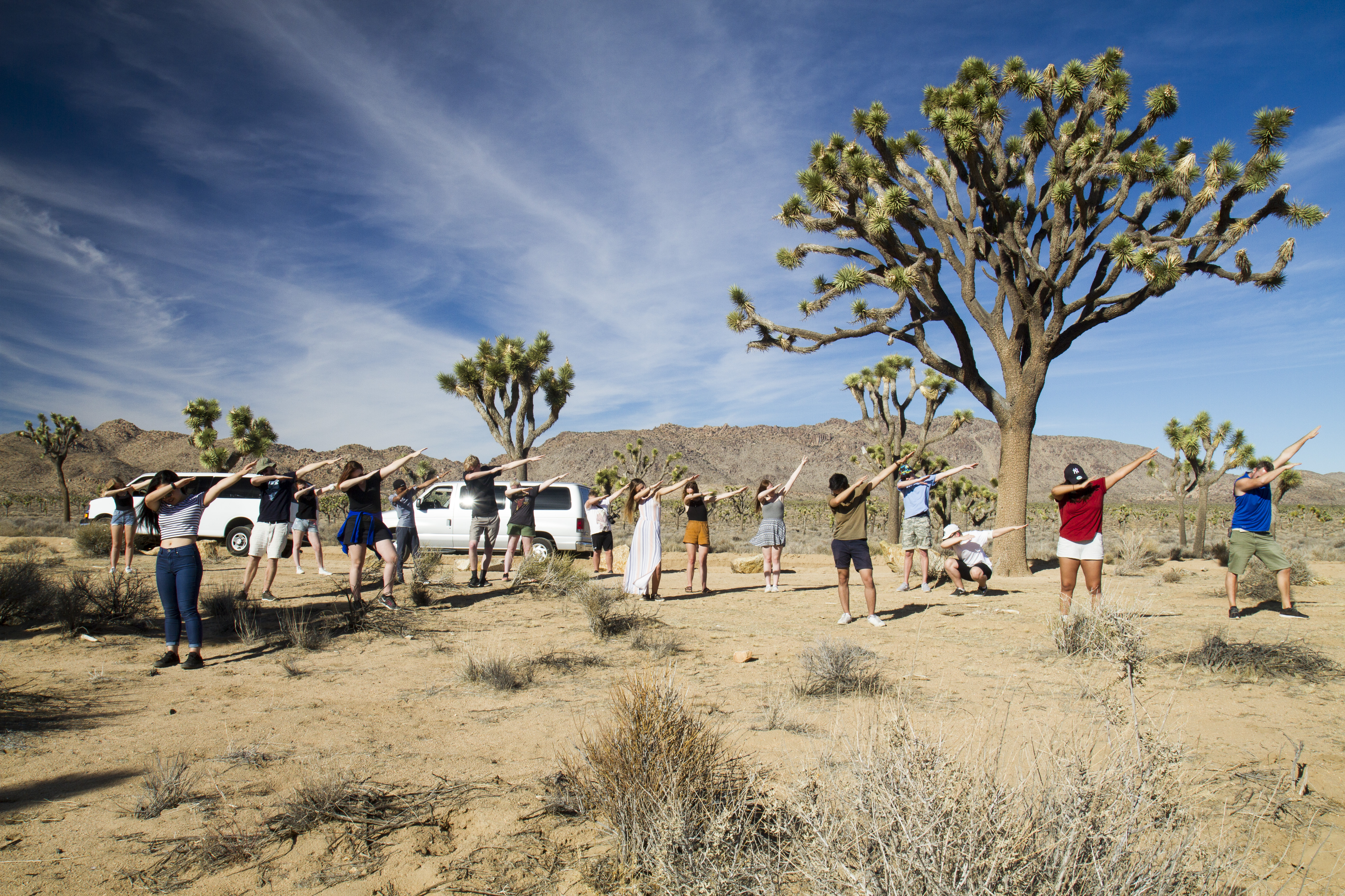 2016 Fotolinjene I LA