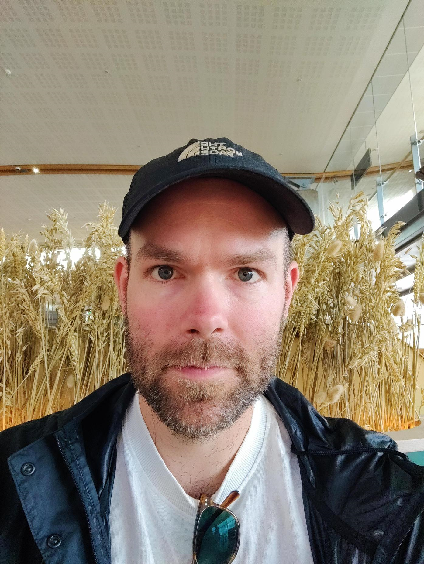 David Aleksander Sjølie