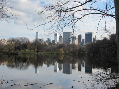 1009229 11 1300575499245